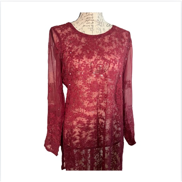 Vintage Beaded Lace Sheer Dress in Wine Red - Picture 2 of 3